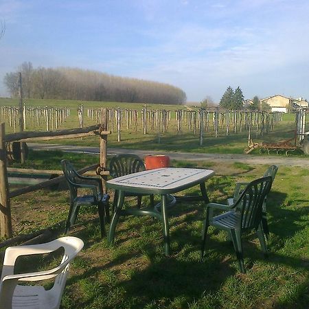 Agriturismo Antica Golena Guastalla Exterior photo