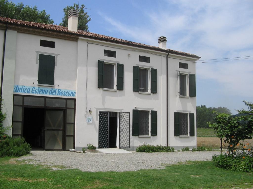 Agriturismo Antica Golena Guastalla Exterior photo